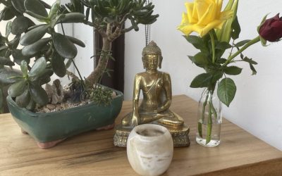 2BCD9587-C7E0-452C-AD52-B2F5F4E6A1E3_1_105_c