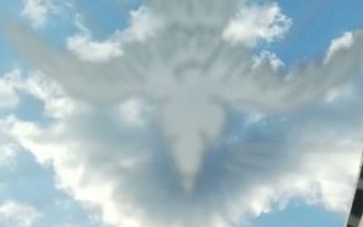 WhatsApp Image 2023-02-01 at 5.11.23 PM